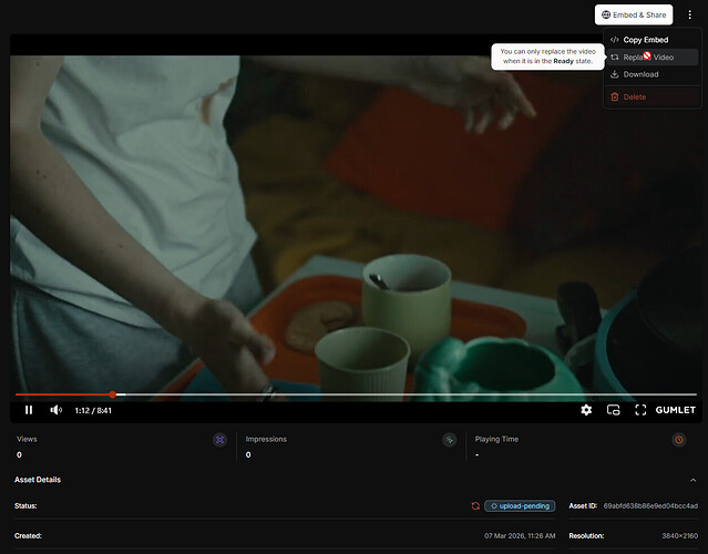 2026-04-03 17_47_45-Asset Details - Brave